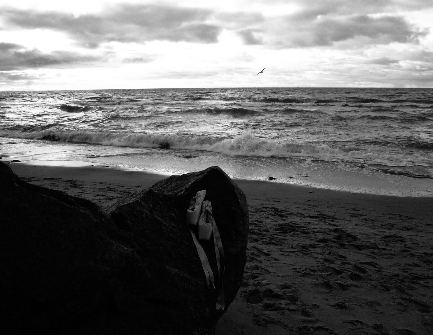 Kamilė Venckutė: The gift