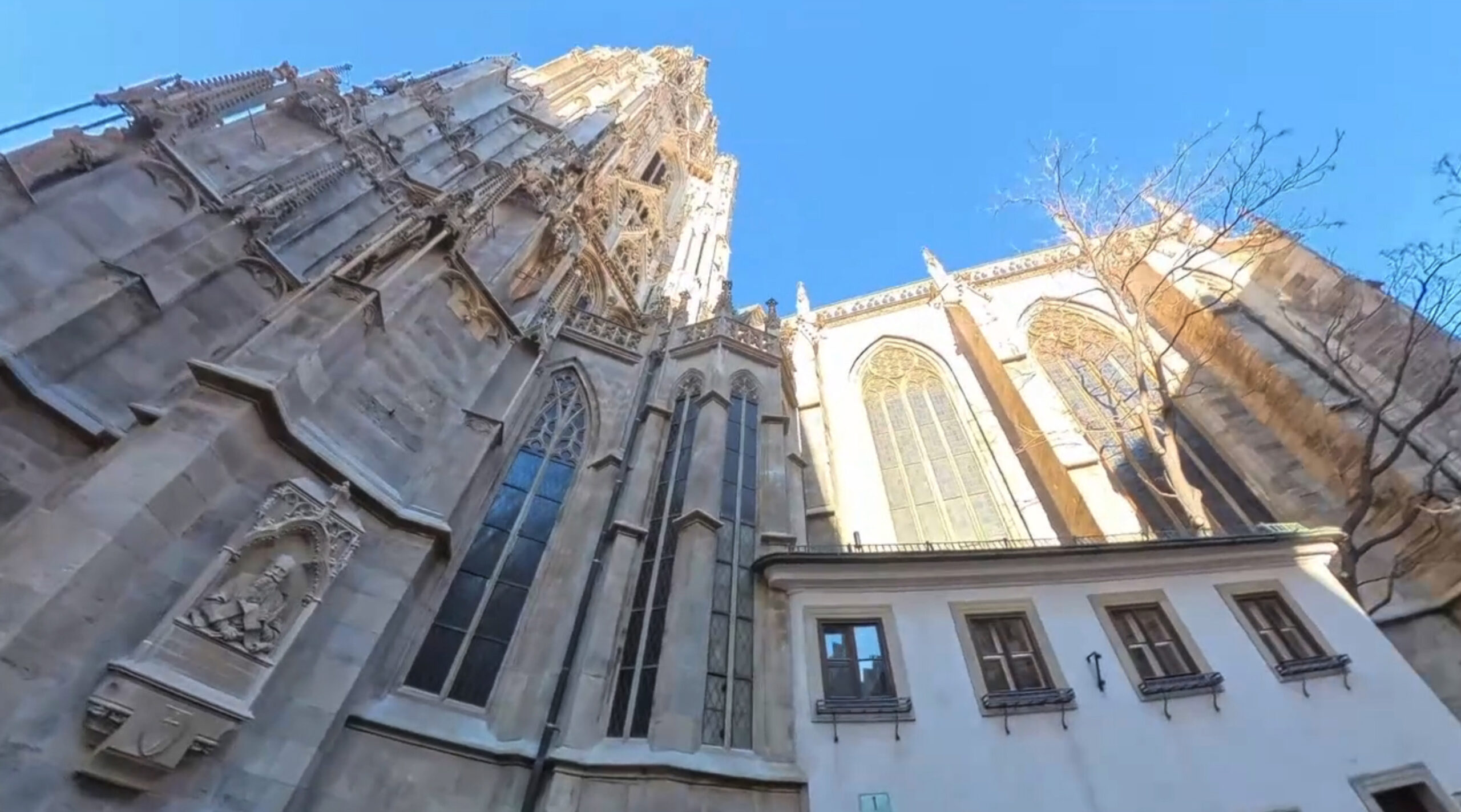 Alexander Meyer, Lorenz Reitsamer, Fabian Krempl: The Strange Sculptures of St. Stephen's Cathedral