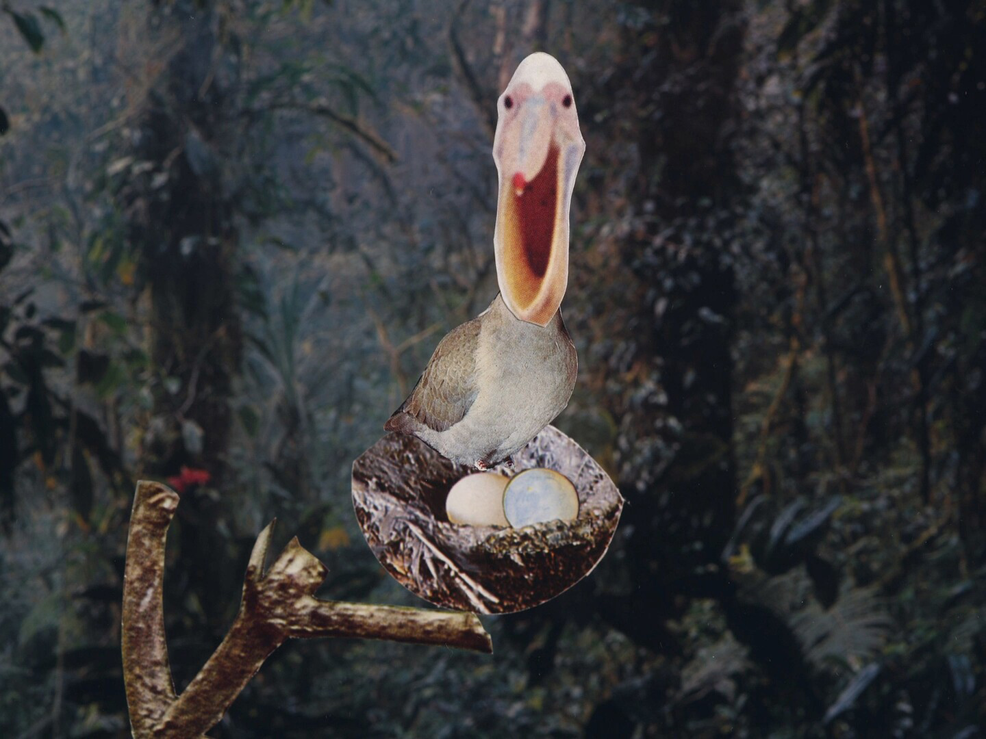 Lukas Wind: Birdlife