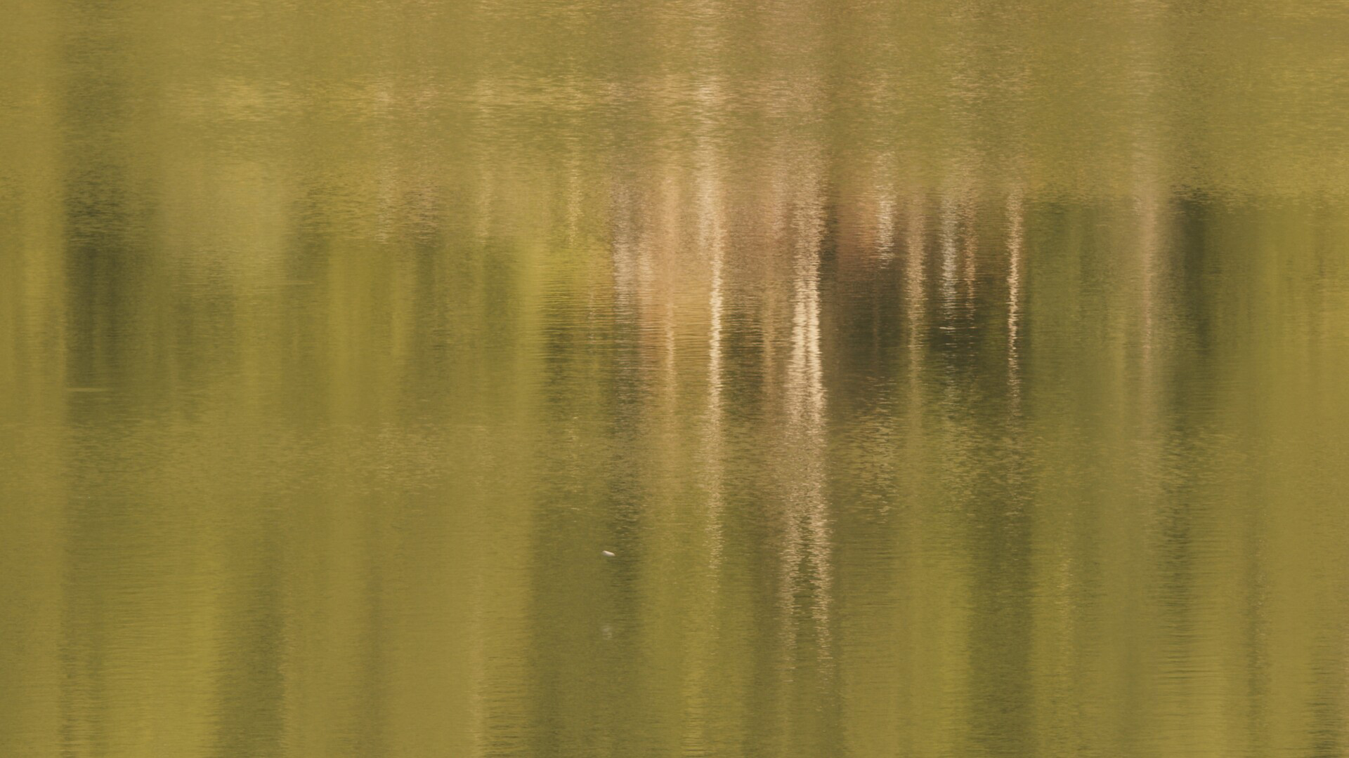 Pietro Gardoni: Swallows over the water