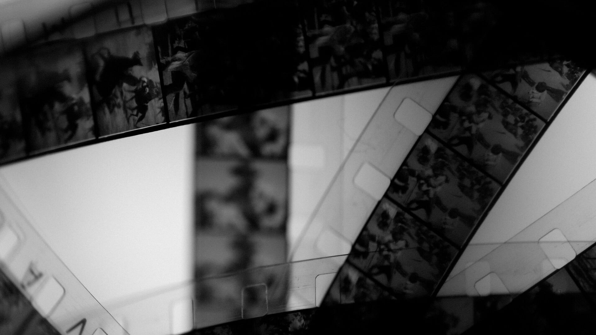 Patrick Doyon: Dizzy Cavalry