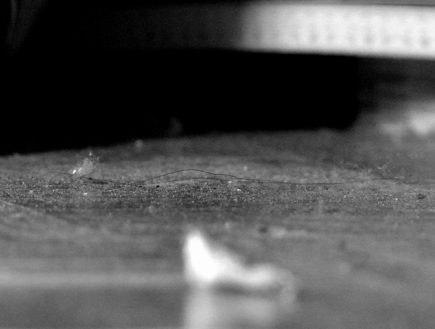 Daniel Jaśniewski: Odyssey